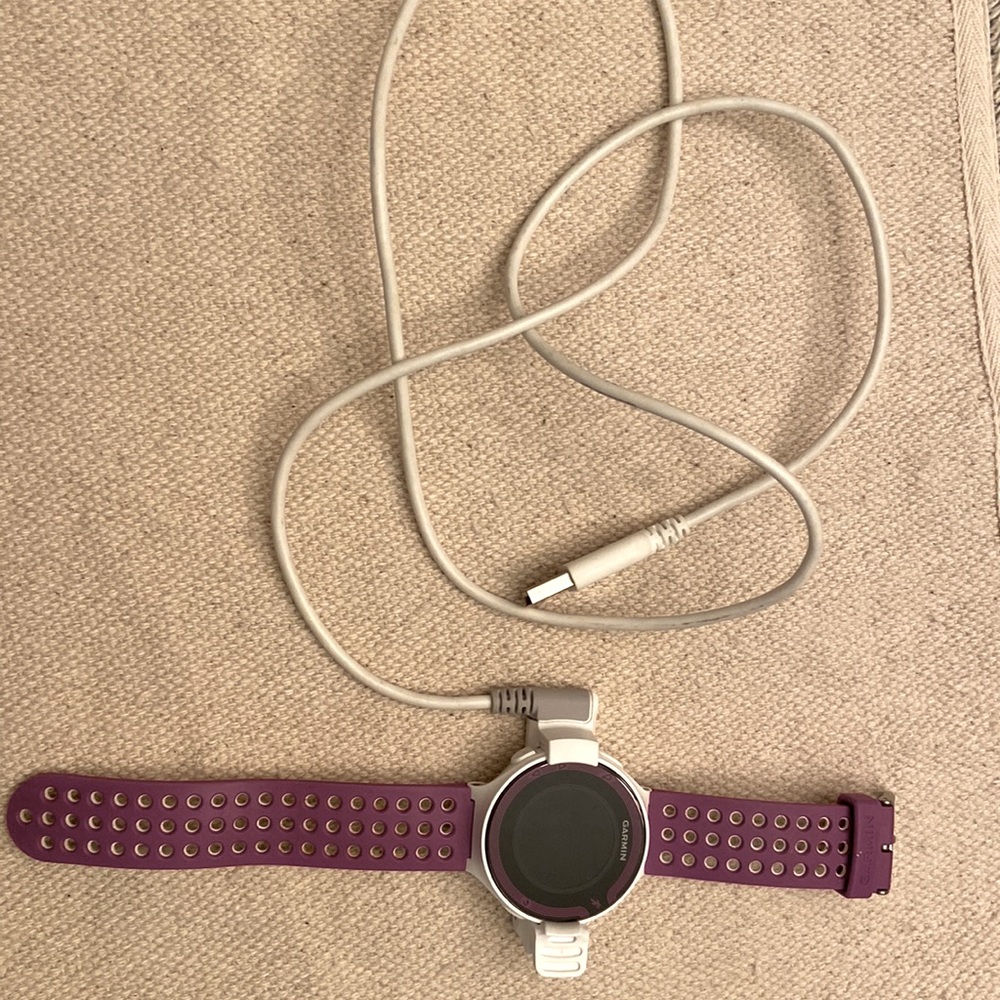 Garmin 220